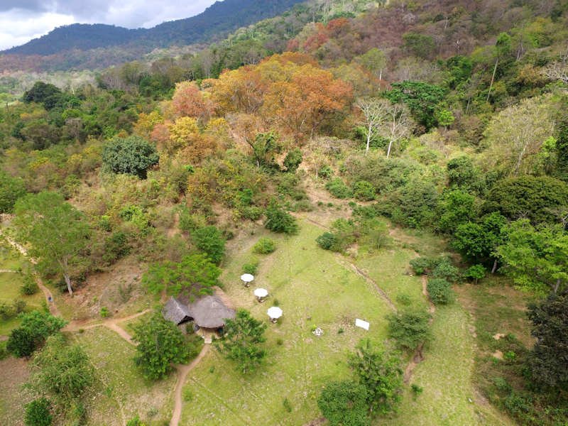 Udzungwa Forest Lodge