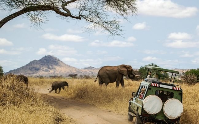Rwanda Gorilla Safari
